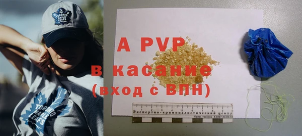 PSILOCYBIN Балахна