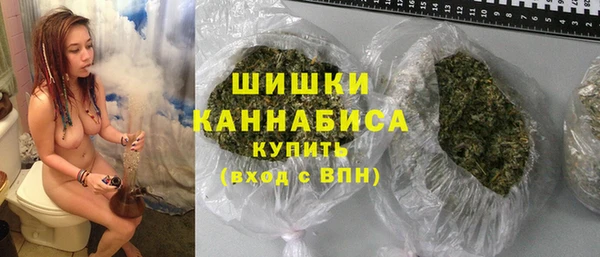 PSILOCYBIN Балахна