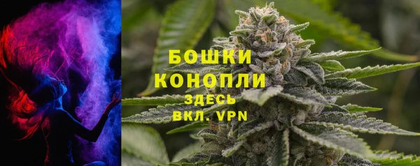 PSILOCYBIN Балахна