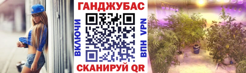 цена   Городец  Шишки марихуана гибрид 